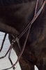 Skórzano-elastyczny napierśnik z plecionką Dy'on Bridge Breastplate D Collection