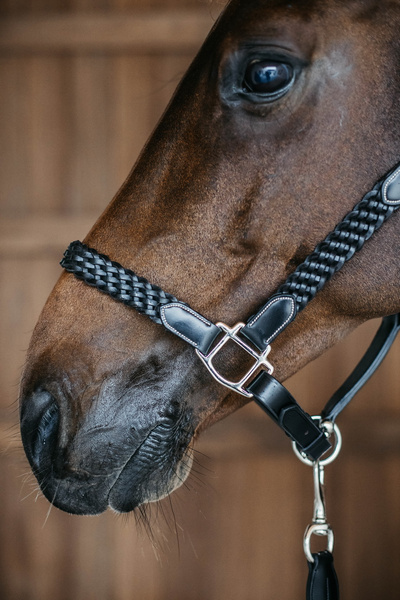 Dy'on kantar Plaited - czarny