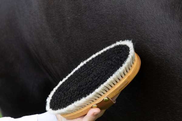 Szczotka nabłyszczająca do sierści - Kentucky Grooming Deluxe