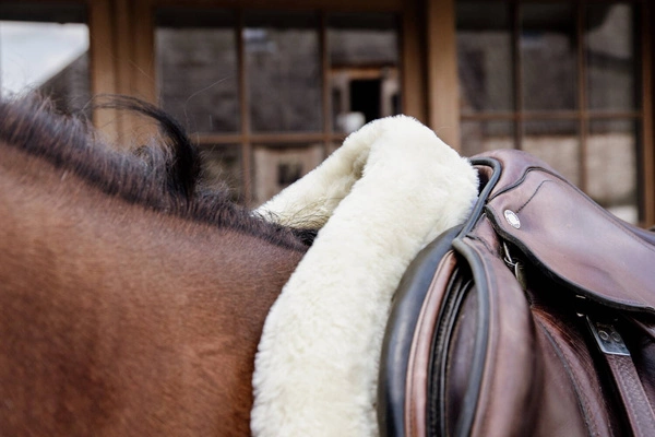 Kentucky czaprak Hunter - biały