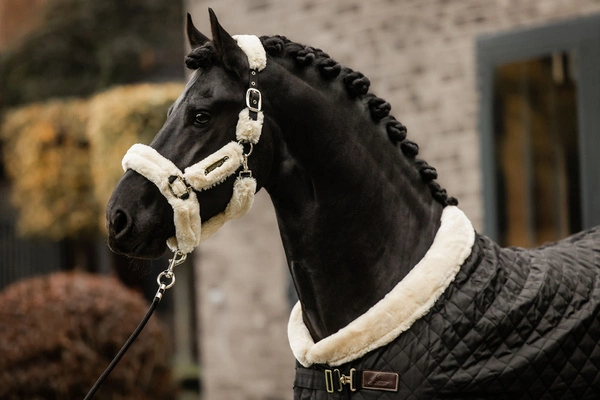 Kentucky kantar obszyty futrem - naturalny