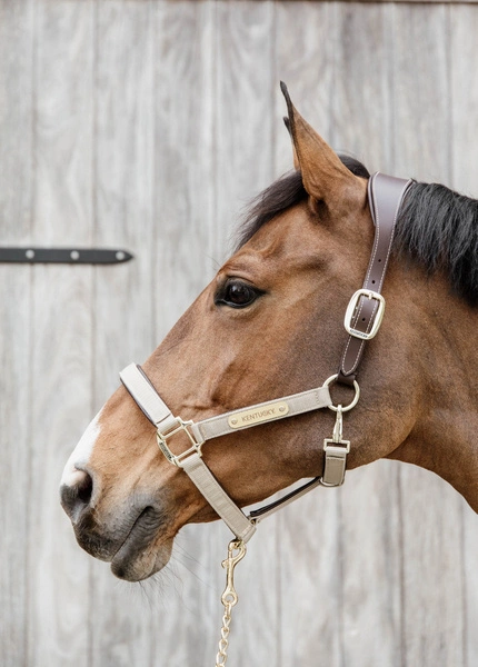 Kentucky kantar Nylon Anatomic - beżowy