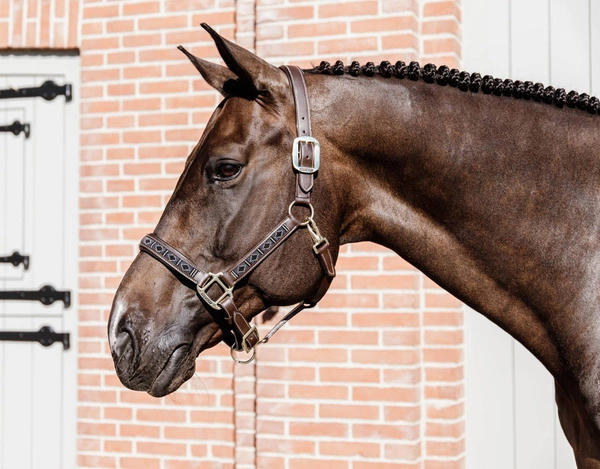 Kentucky kantar Pearls - srebrny