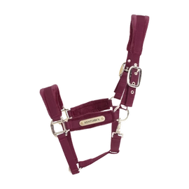 Kentucky kantar anatomiczny Velvet - bordowy