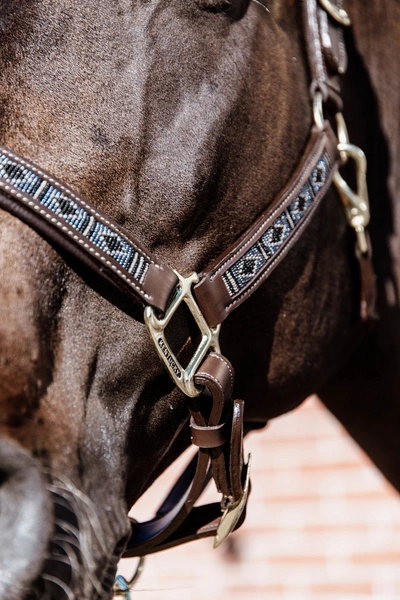 Kentucky kantar Pearls - srebrny