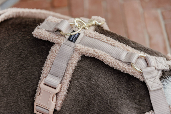 Szelki dla psa Kentucky Active Teddy Fleece- beżowe