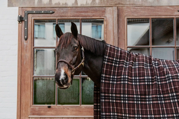 Osuszająca derka Kentucky Heavy Fleece Rug Square Stripes 210x200 cm