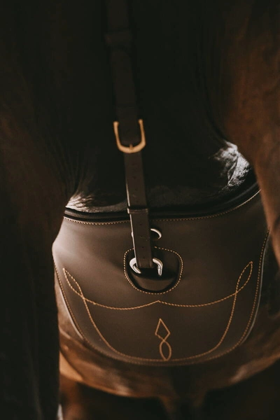 Kentucky popręg z fartuchem - brązowy