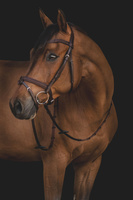 Ogłowie Equiline BJ300 - brązowe