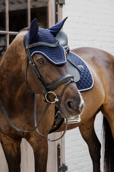 Kentucky nauszniki Wellington Diamond Rope - granatowe