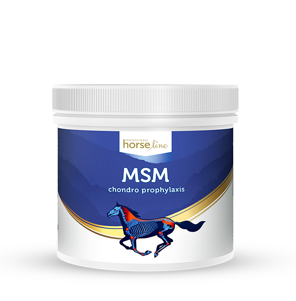 HorseLinePRO MSM 500g