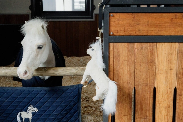 Kentucky Przyjaciel do boksu Sammy