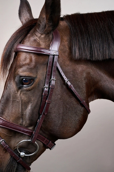 Anatomiczne ogłowie Dy'on z nachrapnikiem angielskim New English - brązowe