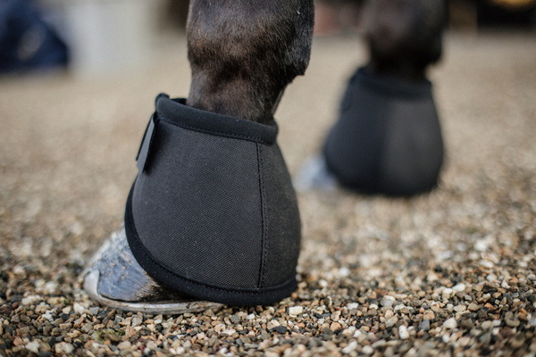Kentucky kaloszki Heel Protection