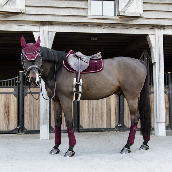 Kentucky czaprak Velvet - bordowy