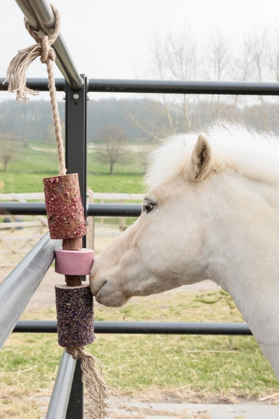 Kentucky gryzak z solą dla koni Relax Horse Toy - sammy