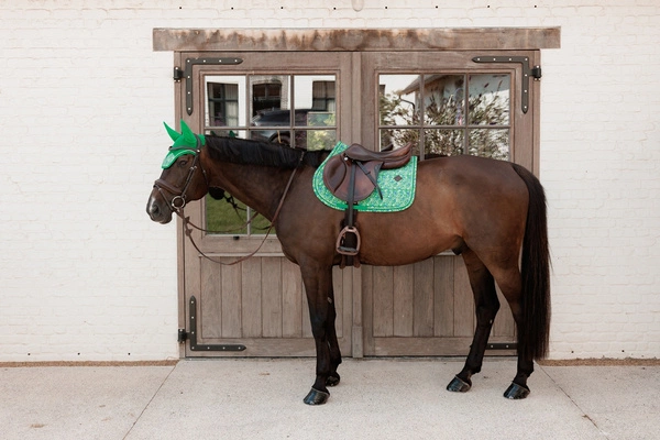 Kentucky czaprak Velvet Printing - zielony/granatowy