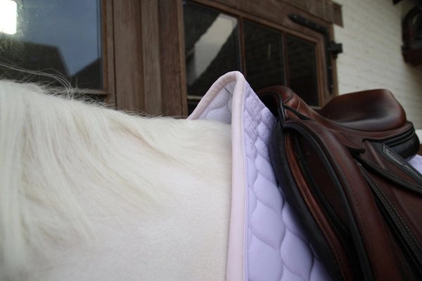 Kentucky czaprak Softshell Onion Quilt - jasny fiolet