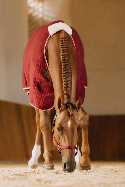 Derka Cooler Rug PROtherm - bordowa