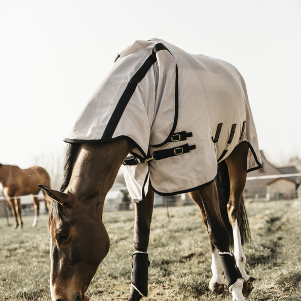 Derka Kentucky Mesh Fly Rug