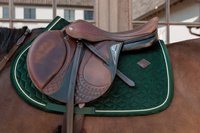 Kentucky czaprak Velvet - pine green
