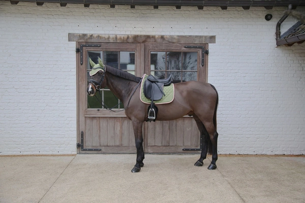 Kentucky czaprak Softshell Onion Quilt - khaki