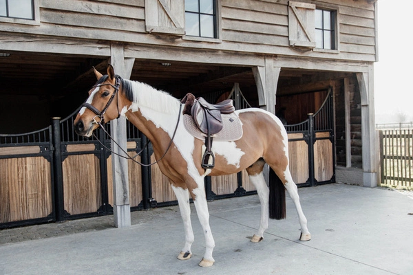 Kentucky czaprak Skin Friendly Velvet - beż