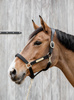 Kentucky kantar Nylon Anatomic - czarny