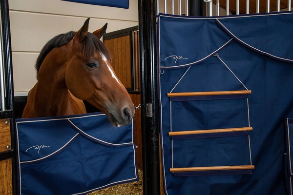 Dy'on bramka na boks