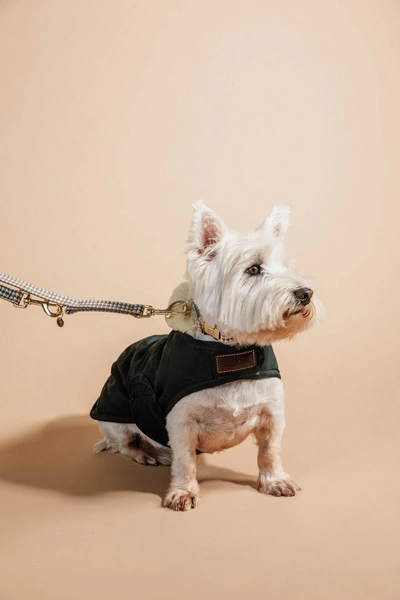 Kentucky derka dla psa Original - ciemna zieleń