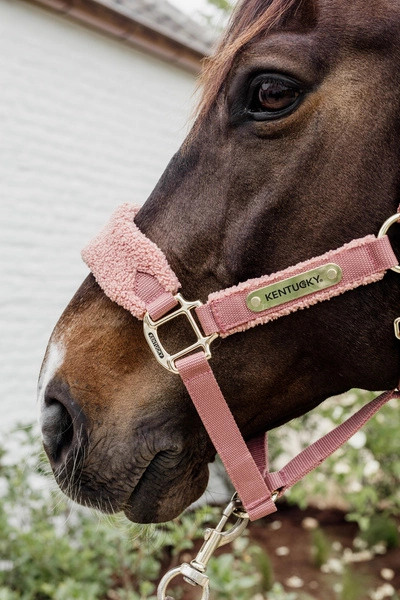 Kentucky kantar Teddy Fleece podszyty puchatym polarem - old rose