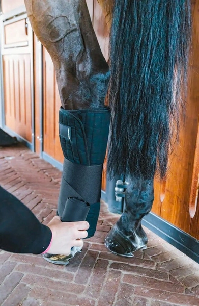 Kentucky podkładki pod bandaże treningowe 50 x 50 cm - czarne