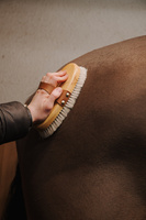 Szczotka nabłyszczająca Medium with Horse & Goat Hair - Kentucky Grooming Deluxe