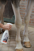 Veredus suchy szampon w sprayu dla siwych koni Easy White 500 ml