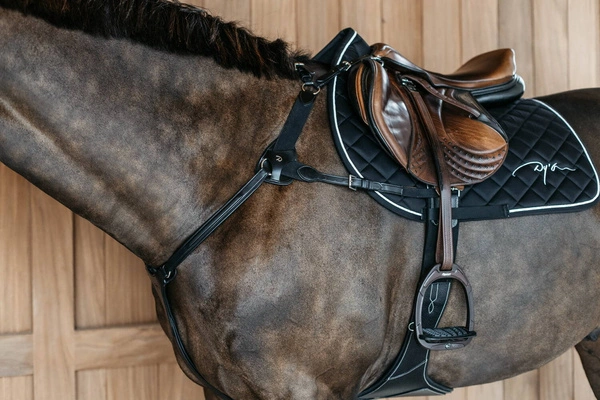 5-punktowy skórzany napierśnik Dy'on D Collection - czarny