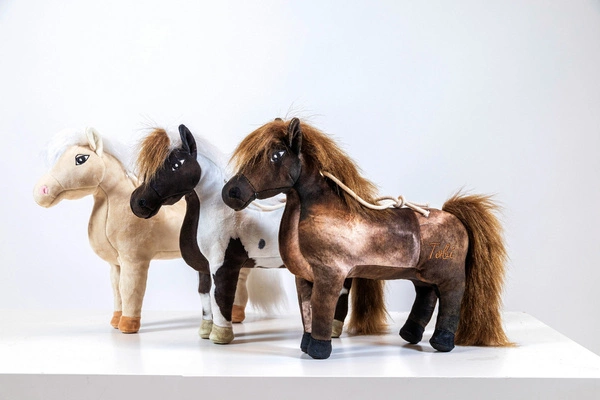 Kentucky Przyjaciel do boksu Toby