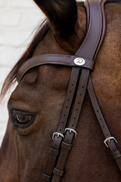 Ogłowie Dy'on New English Flash Noseband Bridle - Soft Collection - brązowe
