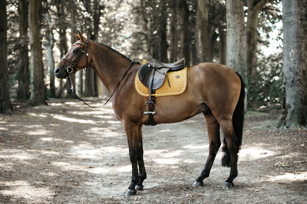 Kentucky czaprak Velvet - musztardowy
