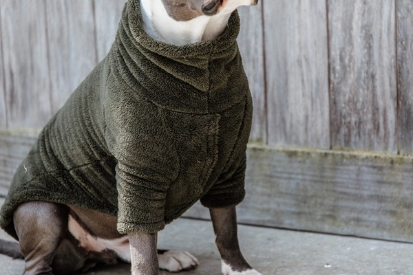 Kentucky sweter dla psa Teddy Fleece -ciemna zieleń
