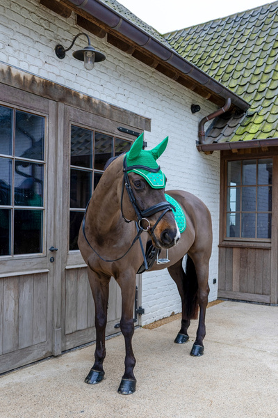 Nauszniki Kentucky Wellington Velvet Horse Printing- zielone