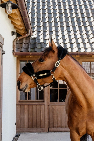 Kentucky kantar podszyty futrem Soft - czarny