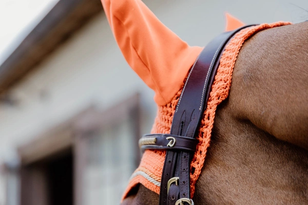 Kentucky nauszniki Wellington Diamond Rope - pomarańczowe