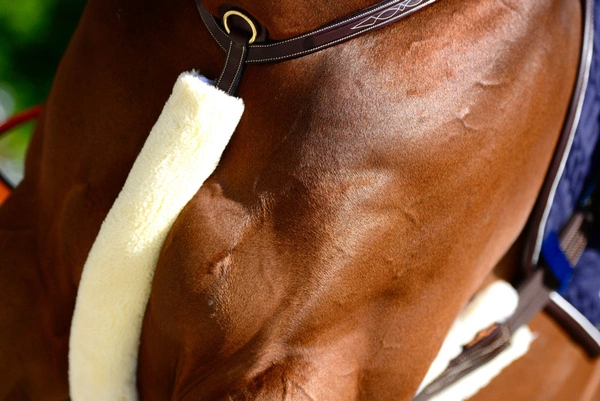 Kentucky futro na napierśnik - naturalne