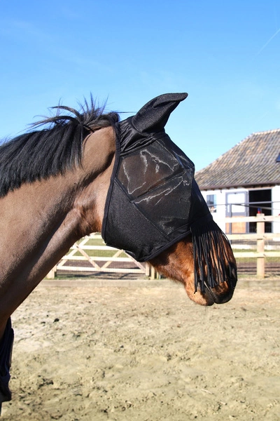 Kentucky maska na owady z frędzlami na nos