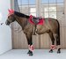 Kentucky Ochraniacze Vegan Sheepskin Young Horse Fetlock Velvet na zadnie nogi - czerwone