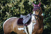 Nauszniki Kentucky Wellington Corduroy - bordowe