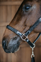 Dy'on kantar Plaited - czarny