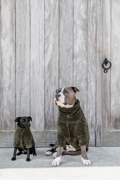 Kentucky sweter dla psa Teddy Fleece -ciemna zieleń