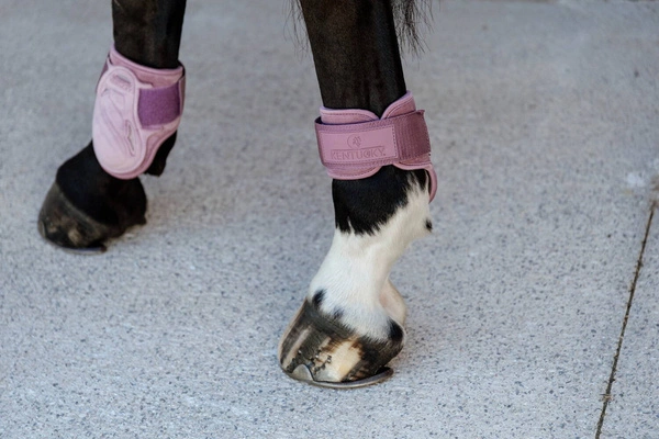 Kentucky Ochraniacze Young Horse Fetlock Velvet na zadnie nogi - różowe