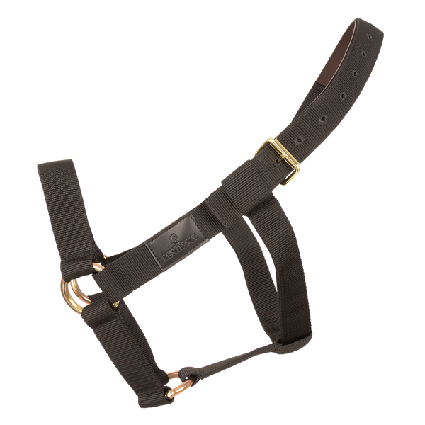 Kentucky kantar Heavy Duty - czarny